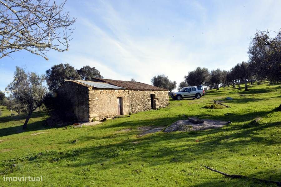 Herdade do Monte da Pedra.
