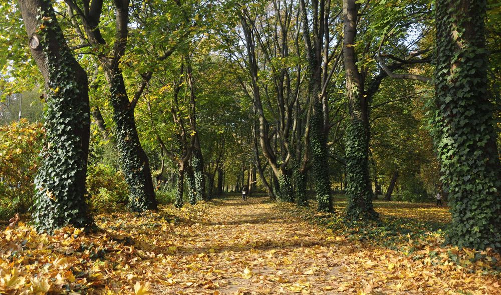 Mieszkanie – Warszawa, Sielce, Mokotów - Widok 5