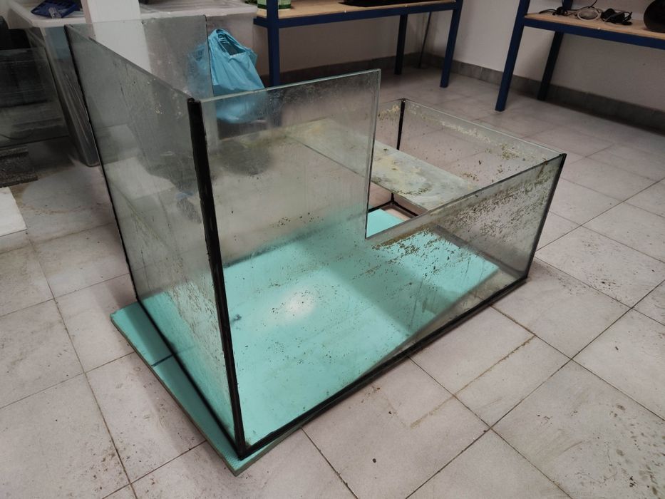 Sump 100x60 convertida em aquário