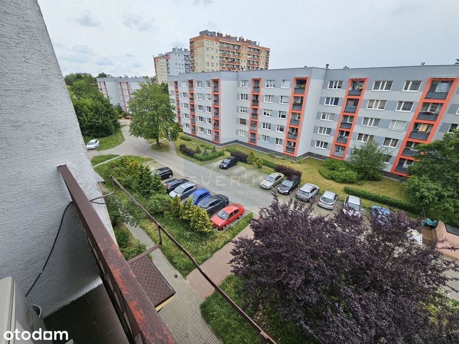 M-3 na wynajem Raków - Widok 2