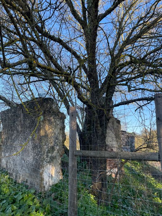Terreno com ruina no meio do campo
