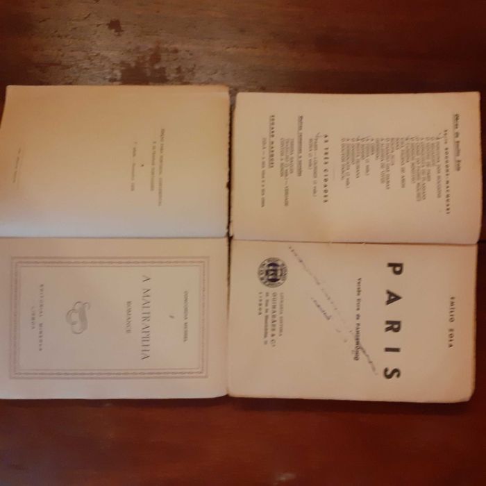 A Maltrapilha - Concordia Merrel e Paris – Vol I - Émile Zola