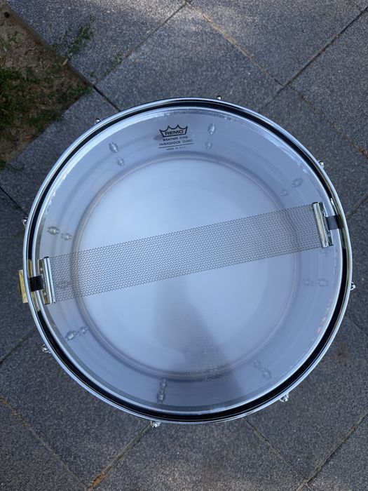 Werbel Pearl 14x6.5”