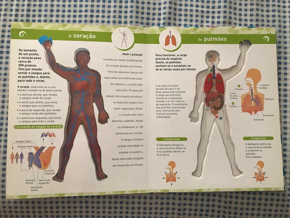 Livro sobre o Corpo Humano