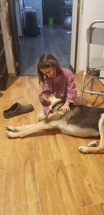 Tori cudowny samczyk szuka domu!