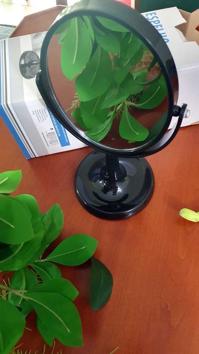Table Mirror with Magnifying Side64584988084738121