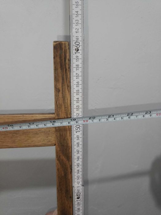 Sztaluga malarska duża