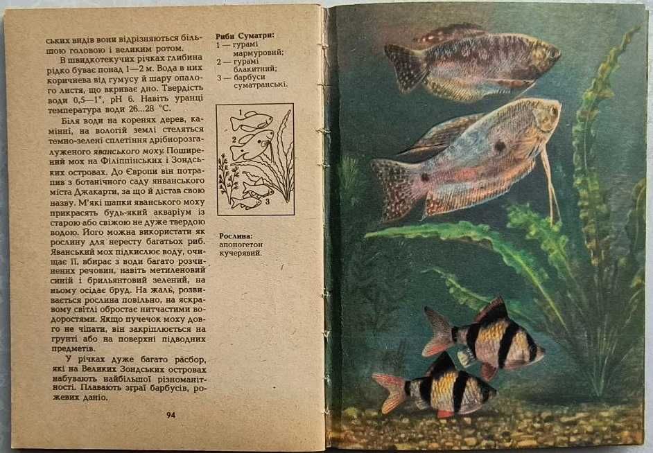 Аквариумные рыбы 1988 год