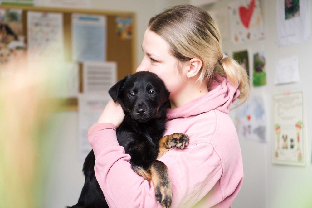 Szczeniak szuka domu!