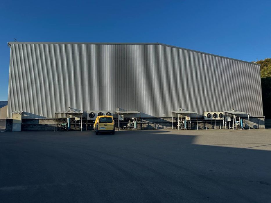 Оренда Морозильної камери