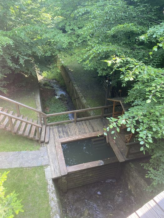 Будинок в Карпатах зелена садиба