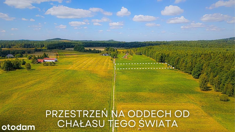 Działka przy lesie z widokiem na Świeradów Zdrój(Mirsk/Leśna/Wolimierz