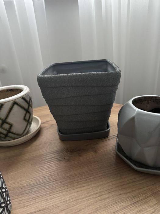 Горщики для рослин окремо