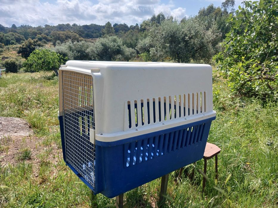Transportadora para cães - Dog's Travel Carrier