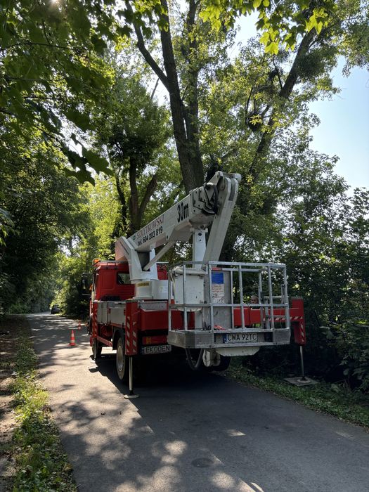 Prace wysokościowe /Wycinka i pielęgnacja drzew