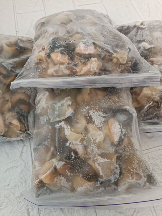 Рапан свеже-мороженный