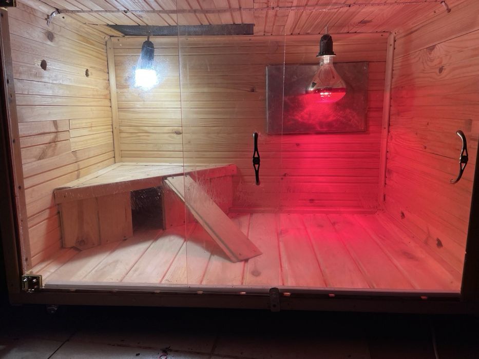 Терариум (самодельный)