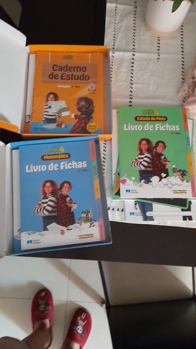 Livros 4 ano e cadernos actividades