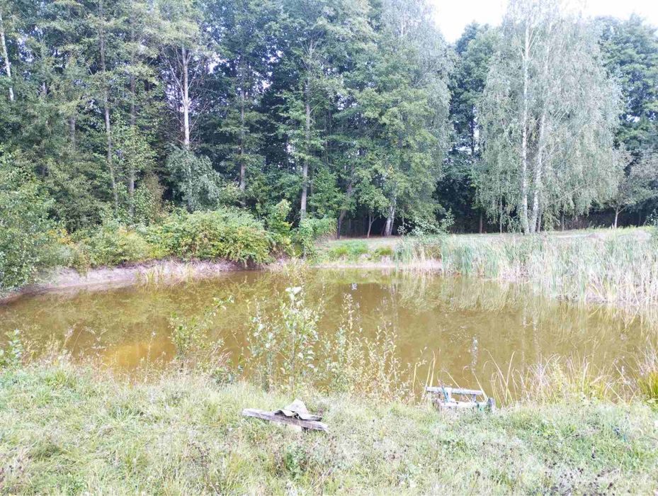 Здається будинок. Болярка (біля Житомира )