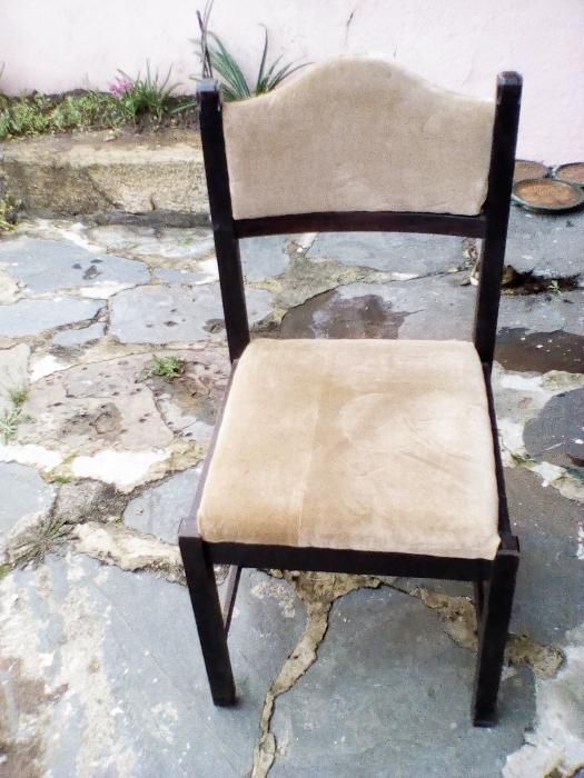 2 Cadeiras em veludo beje