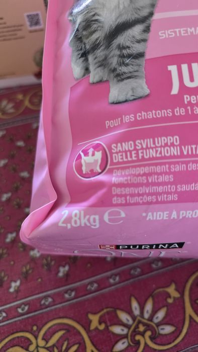 Purina One Frango Junior