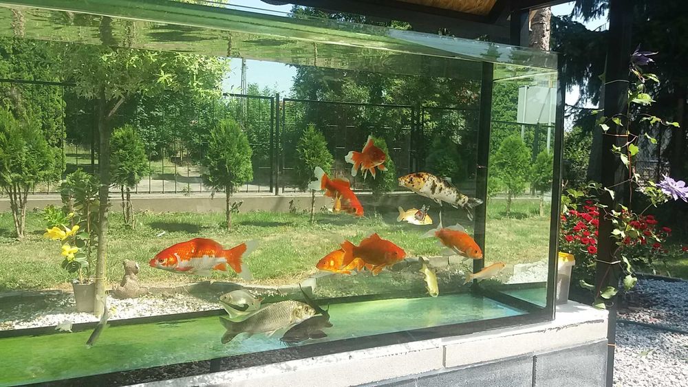 Akwarium proste 80x40x40 - 128 litrów float
