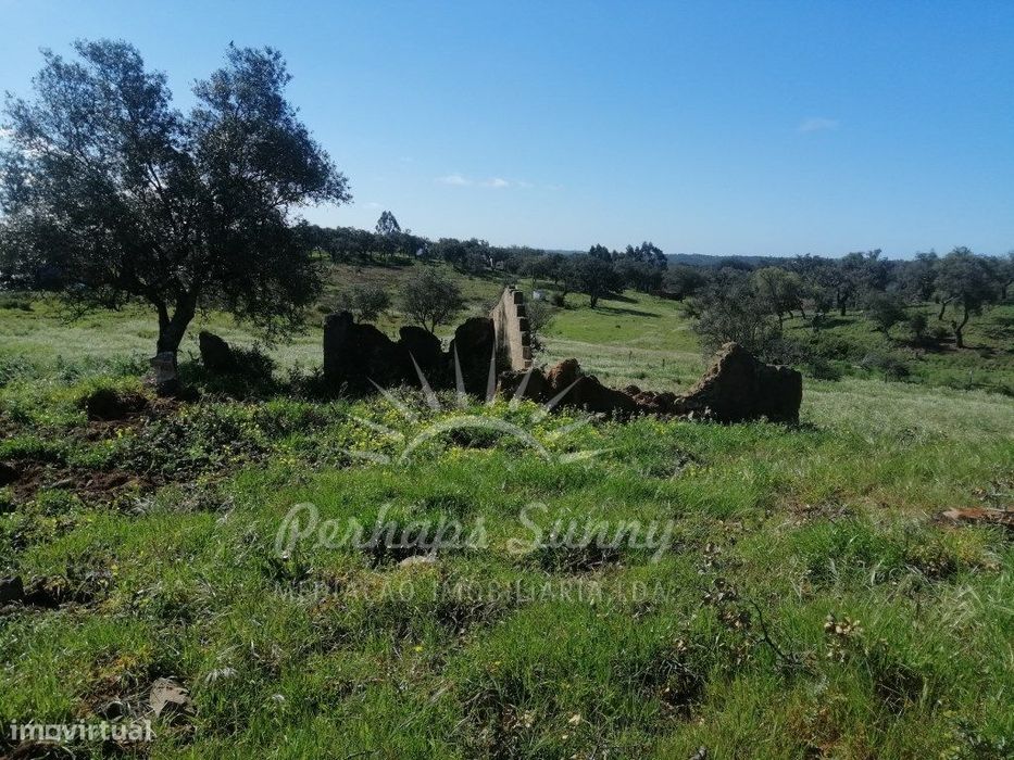 Propriedade Mista - Serra de Grândola- Melides