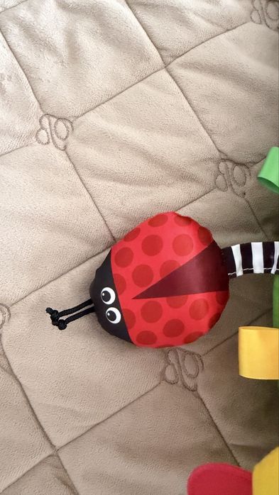 М'яка розвиваюча подушка Baby Einstein "Cal-a-Pillow"