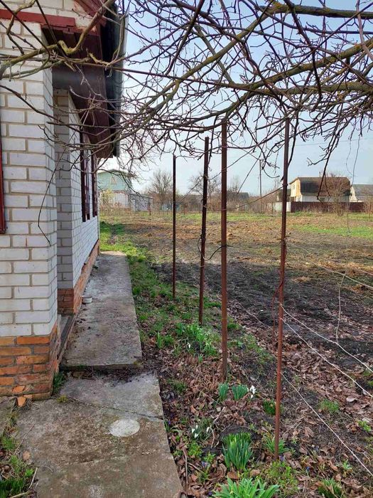 Продам дачу в Хвилівці Ніжинського району.
