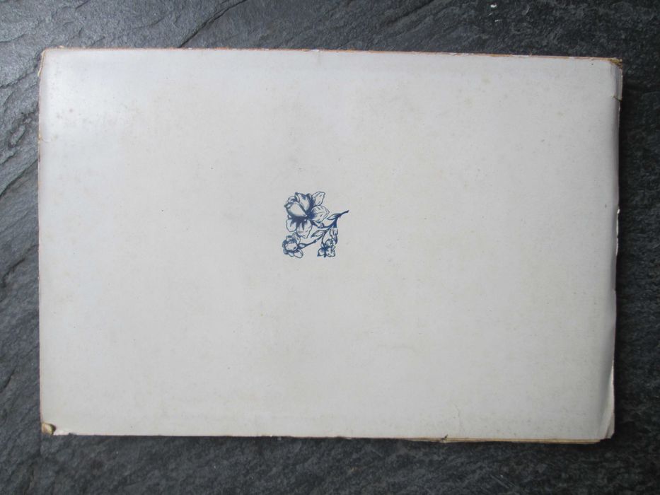 Etnografia da Beira, de Jaime Lopes Dias - 1ª edição de 1926