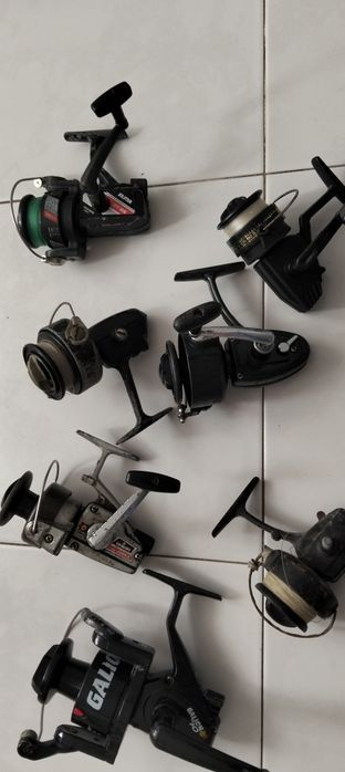 Carretos de pesca a melhor oferta