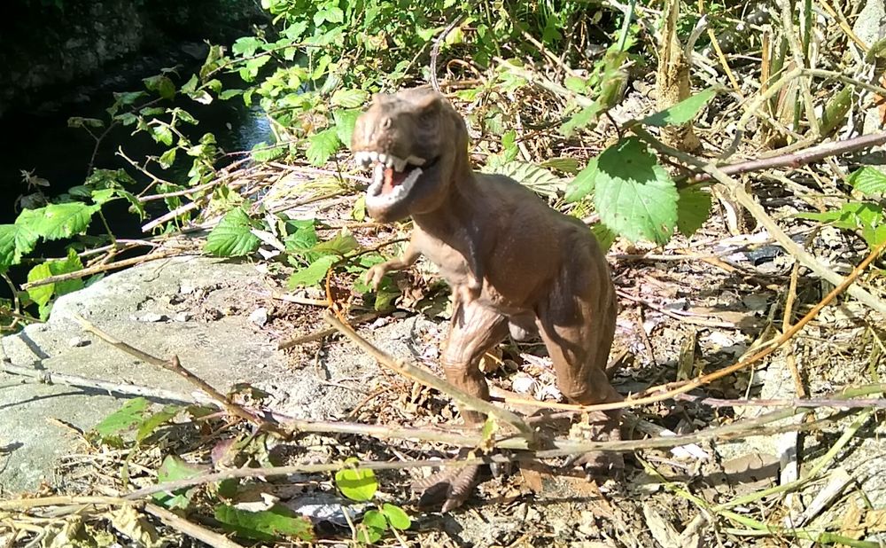 Dinosaurs, Replicas 164286560603649121