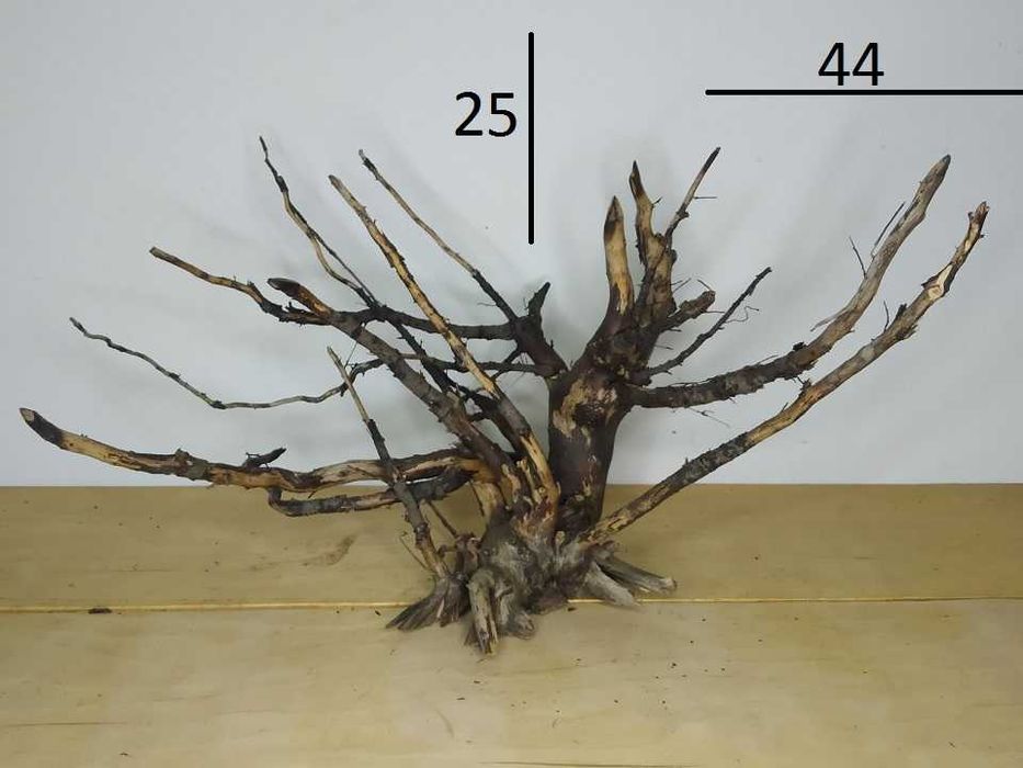 коряги для аквариума , террариума , флорариума .