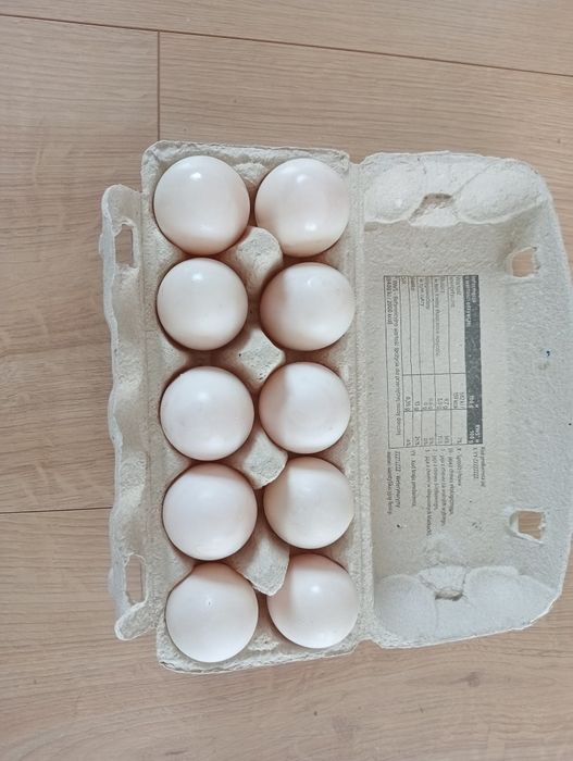 Jajka kaczki staropolskie