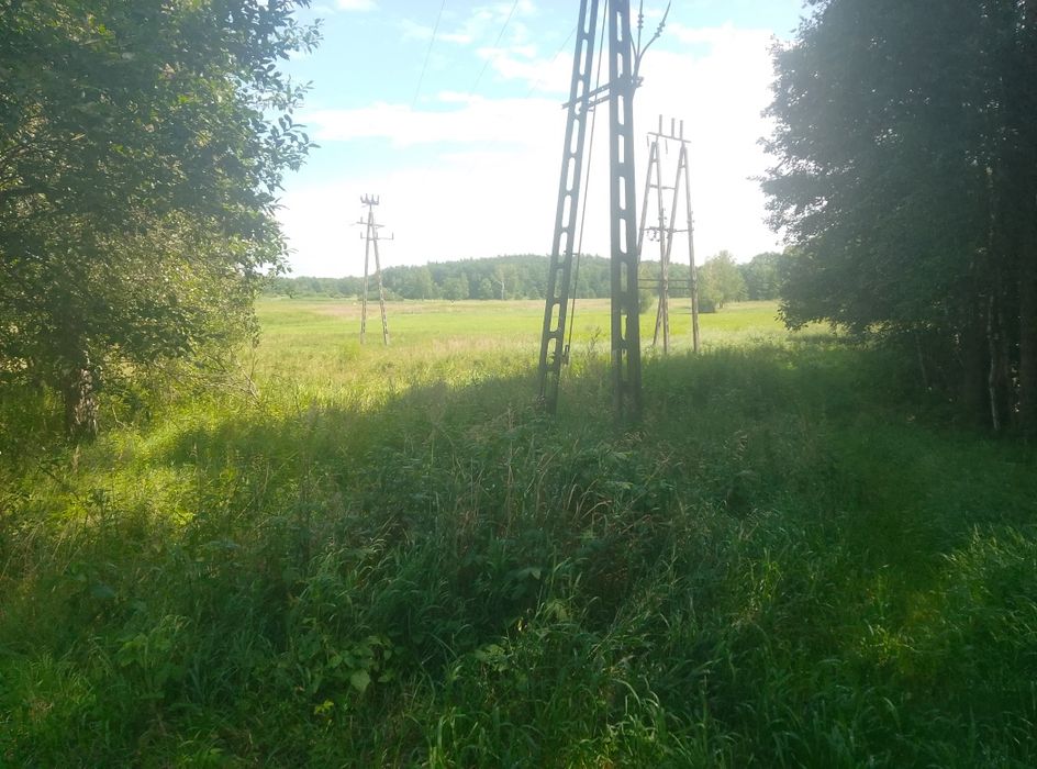 Działka na dzierżawę,wynajem - Widok 2