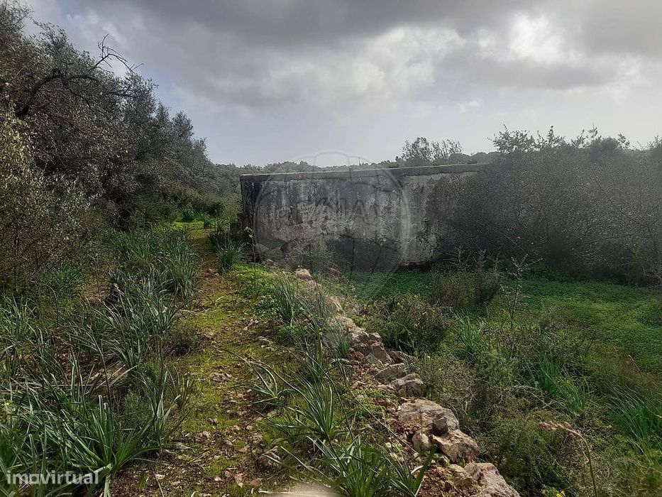 Terreno  para venda