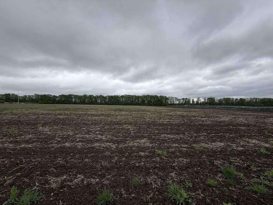 ПРОДАЖ ЗЕМЕЛЬНОЇ ДІЛЯНКИ В ЯКУШИНЦЯХ