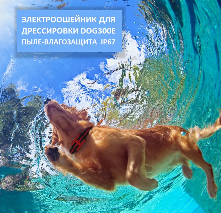 DOG-300Е ЭлектроОшейник д. дрессировки собак 400м Электронный Ошейник