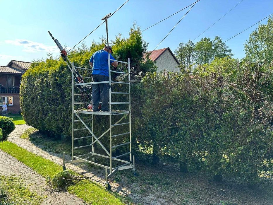 Wycinka drzew, przycinanie tui, nasadzanie żywopłotów