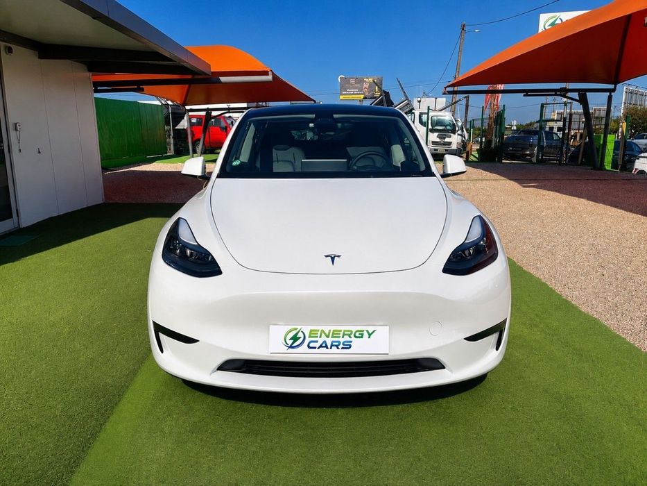 Tesla Model Y Standard