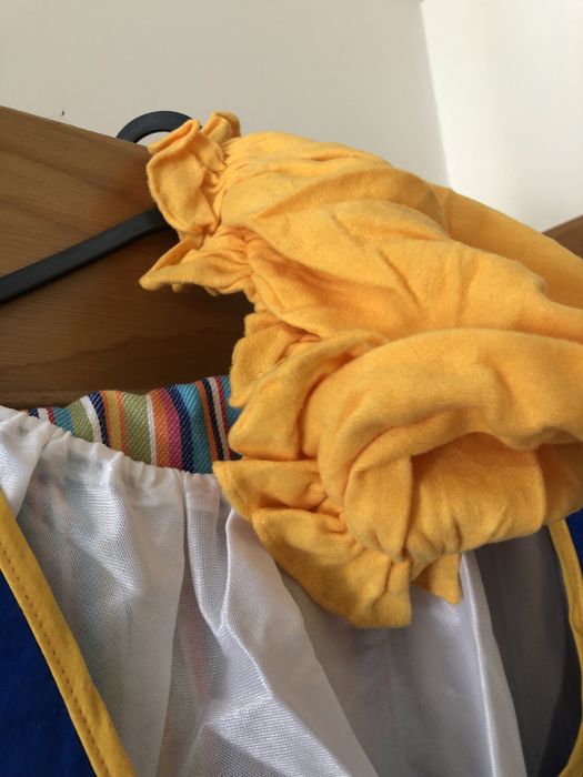 Fato de Carnaval Camponesa