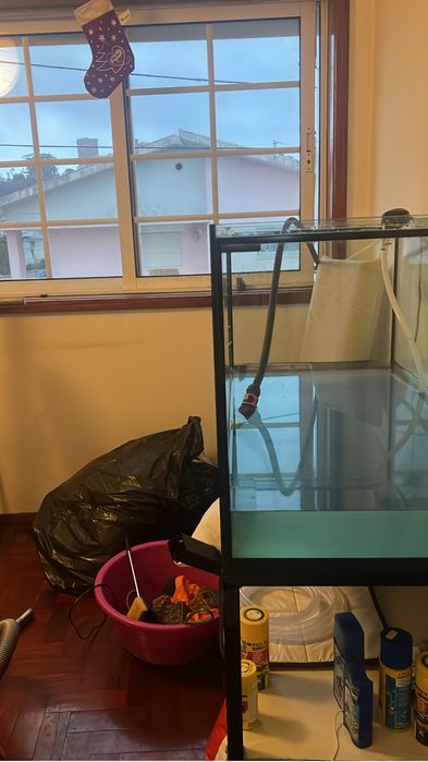 Aquario 250 Litros