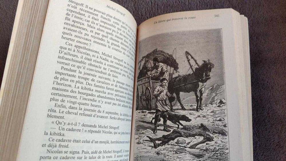 Michel Strogoff - Jules Verne (edição em francês)