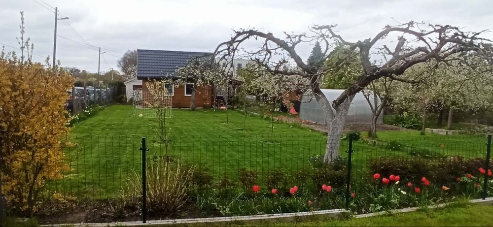 Działka ROD im. Owoc Naszej Pracy