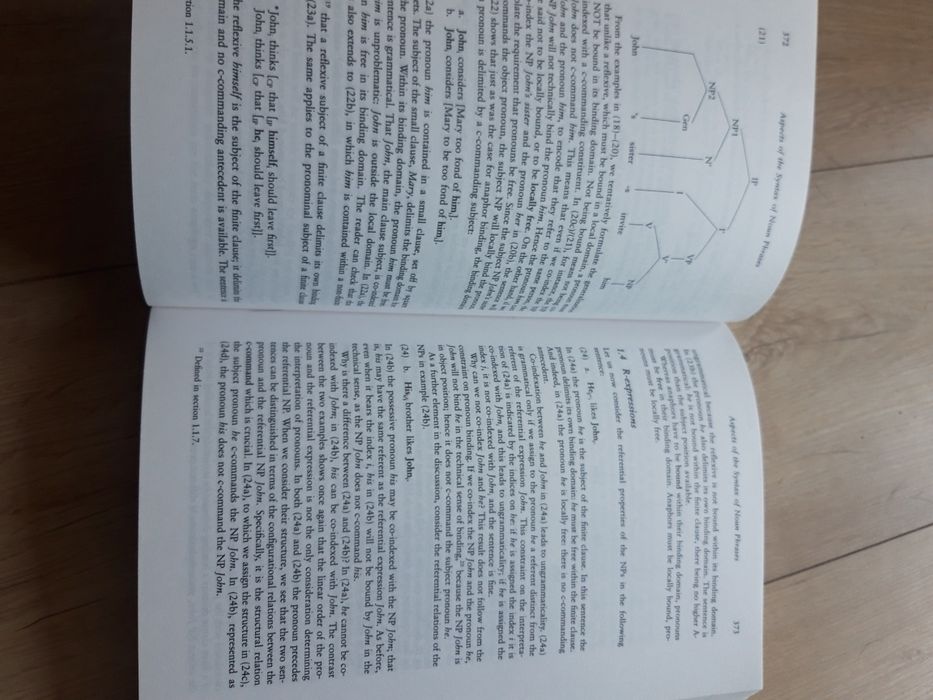 English Grammar a generative perspective