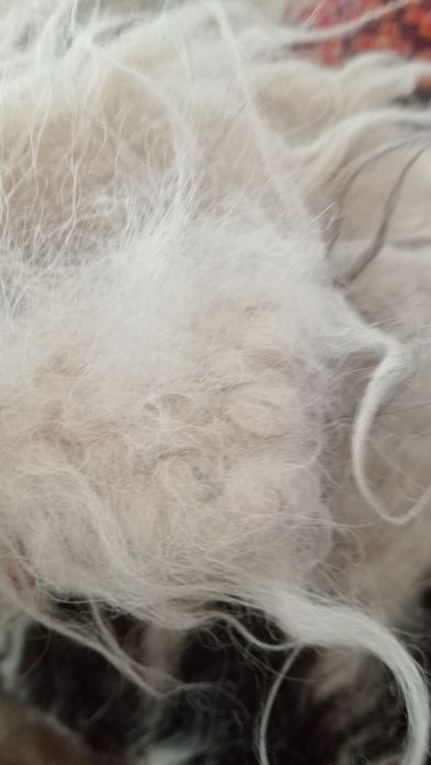 Одіяло,покривало на 100% овчині!