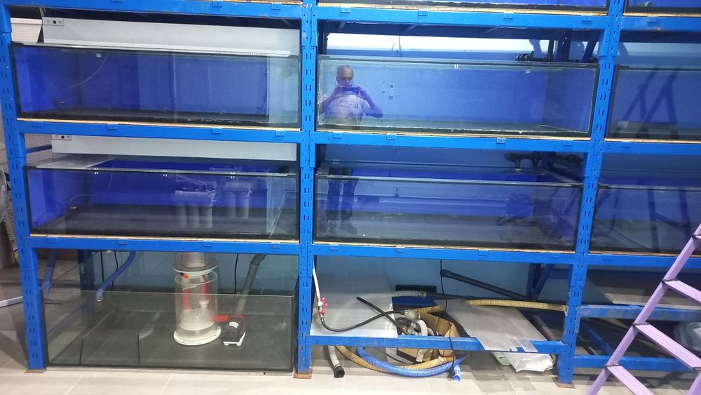 Продам аквариумы 9 шт 140*60*40