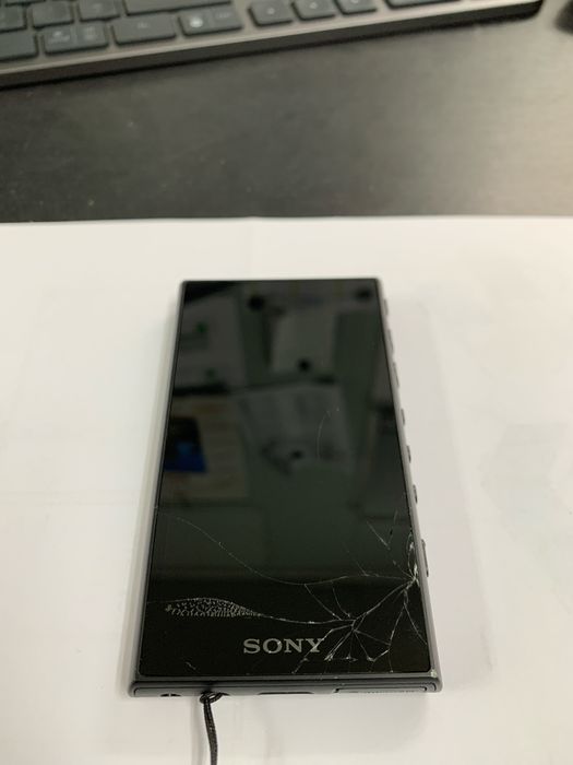 Sony Walkman NW-A105