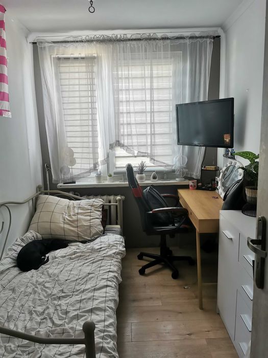 Zdjęcie 6