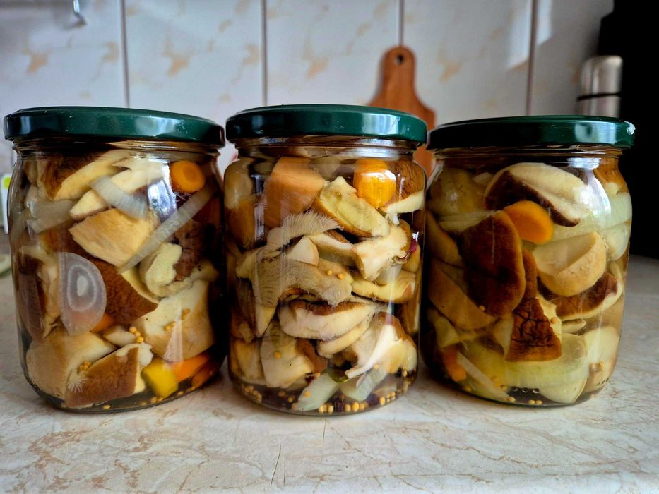 3 x 500 ml duzy sloik Grzyby Borowiki marynowane w occie  3 szt / super jakość - Borowik Szlachetny Prawdziwek wysylka cała Polska